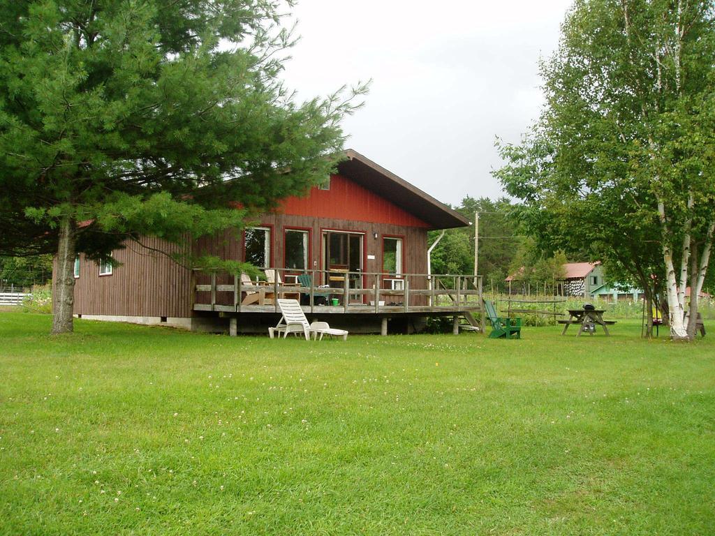 Bondi Village Cottage Resort Lake of Bays מראה חיצוני תמונה