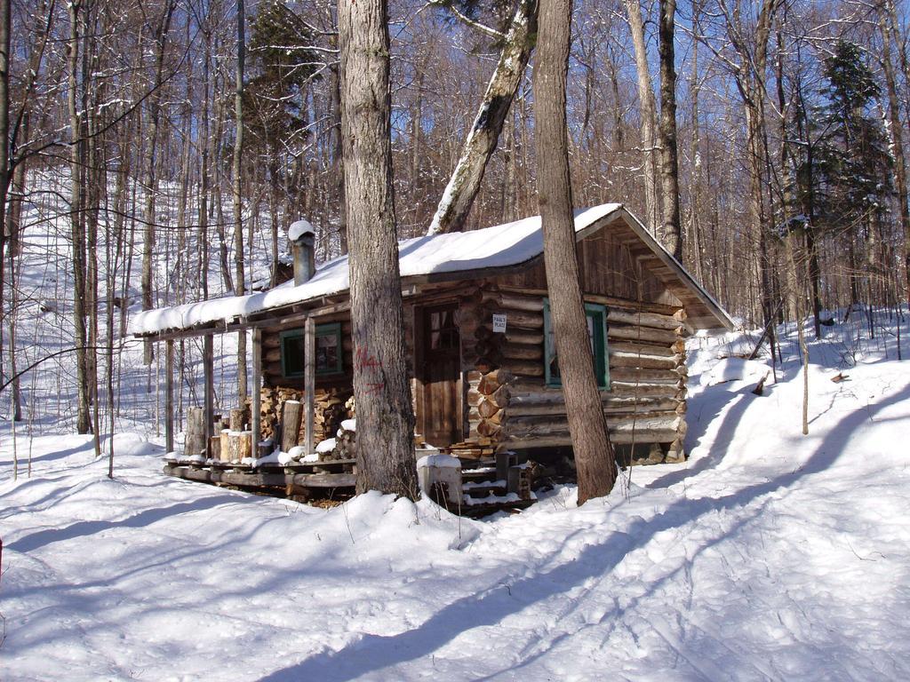 Bondi Village Cottage Resort Lake of Bays מראה חיצוני תמונה